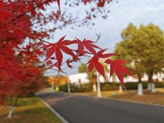 -白塘生态植物园
