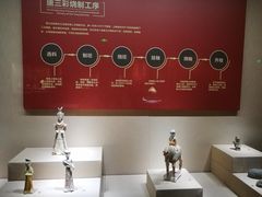 -宁夏博物馆