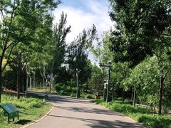 -东郊湿地公园