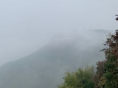 -美心红酒小镇游乐园