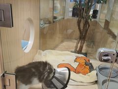 -屋虎猫馆(宝安大仟里店)