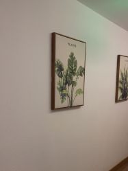 -薇薇安花系SPA