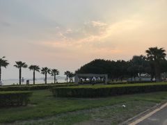 -音乐广场