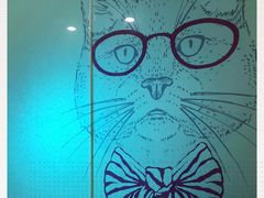 -伟伟宠物医院·CT影像中心·瑞派犬猫综合性门诊(汉口总院)