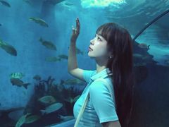 -合肥海洋世界