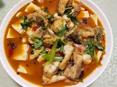 -煲来饱去冷水鱼