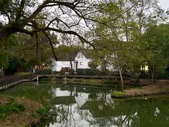 -西溪国家湿地公园