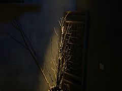 -都氏家DUSJOY(翡翠城店)