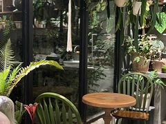-自由生长植物工作室(深港花卉中心店)