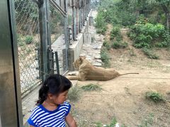 -石家庄市动物园