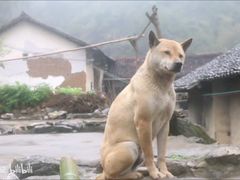 -袁亮宏饺子云吞(侯家桥菜场店)