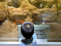 -上海昆虫博物馆