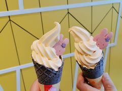 -麦当劳(塔园路店)