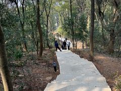 -岳麓山风景名胜区