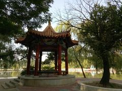 湖心亭-二一九公园