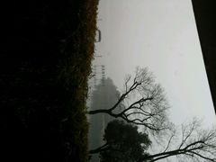 android_upload_pic-天目湖涵田度假村