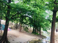 -白水寺森林公园