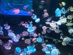 -南昌融创海世界