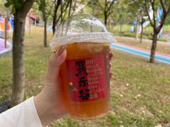 -清远熹乐谷温泉度假酒店