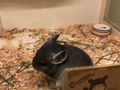 -龙猫仔乐园(惠福东路店)