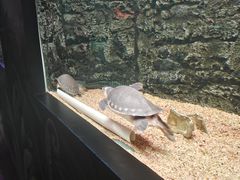 -长春中泰海洋世界