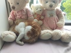 -大桶大足浴(南翔店)