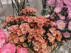 -花邻FloweringLife花艺气球派对(武康大楼店)