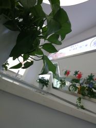 -痘瑞仕·专业祛痘国际连锁