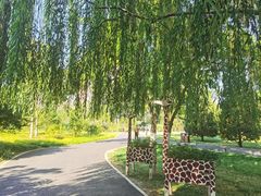 -莲花池公园