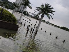 -天和楼·精致太湖酒家(太湖店)