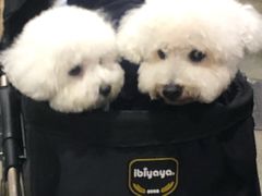 -香港会议展览中心演讲厅