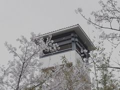 -湘湖金融镇