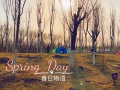 -天津东丽湖风景区