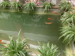 -慈铭体检(北京奥亚分院)