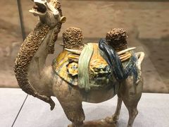 -北京周口店北京人遗址博物馆