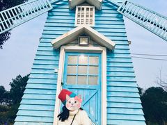 -铁山坪森林公园