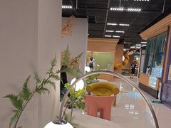 -帕帕拉兹宠物(亚洲旗舰店)