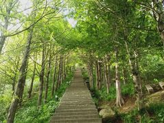 -东白山