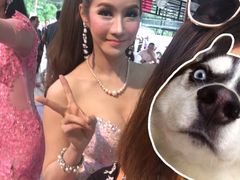-西蒙人妖秀