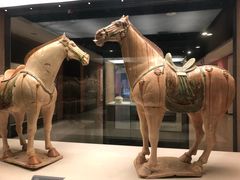 -西安大唐西市博物馆