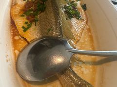 -维园悦谱·海派家常菜(乌鲁木齐南路店)