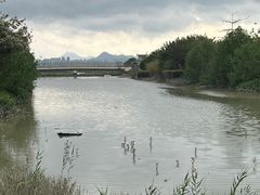 -福田红树林生态公园