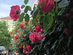 -张记焖窑·十五年专注焖烤(雍和宫店)