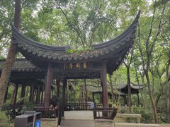 -上海佘山国家森林公园天马山园