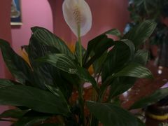 -泰融玺·泰式按摩SPA(包河万达店)