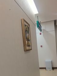 -AIST爱思特医疗美容医院