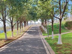 -云南大学滇池学院