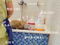 -芭比堂动物医院·心脏专科·夜诊·吉雅分院