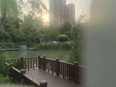 -青枫公园