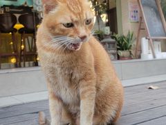 -默迹咖啡馆
